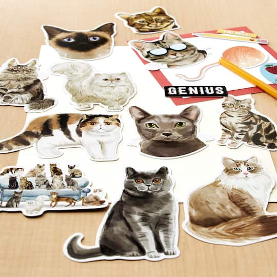 12 Pack: Cats Die Cut Stickers by Recollections™